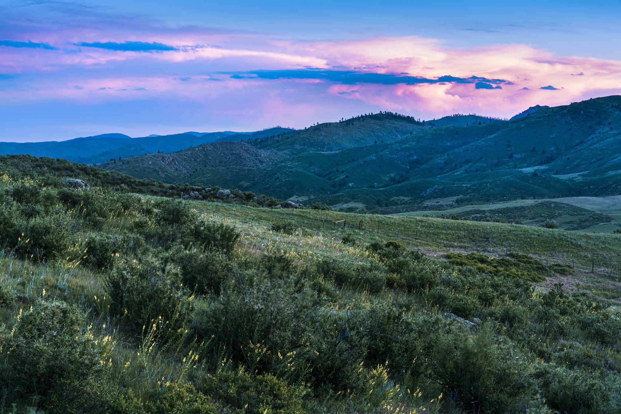 Livermore Outdoors