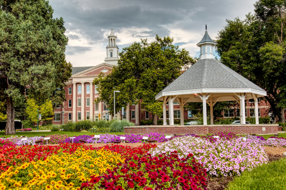 Fort Collins Community